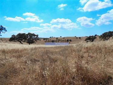 Nehnuteľnosť 162,5 ha v Alentejo. Portugalsko, Beja, Almodôvar.