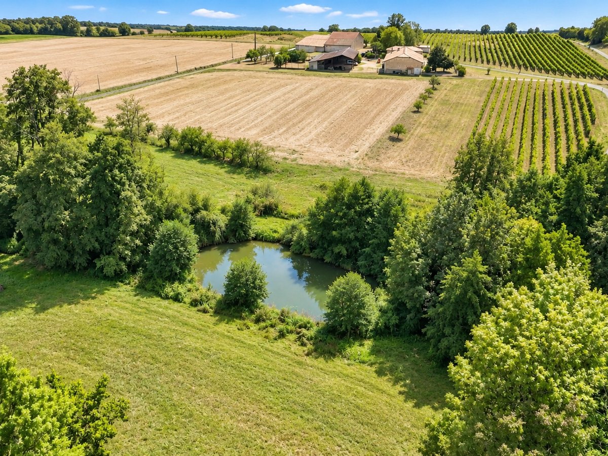 Maison à vendre, 278m², Baignes-Sainte-Radegonde