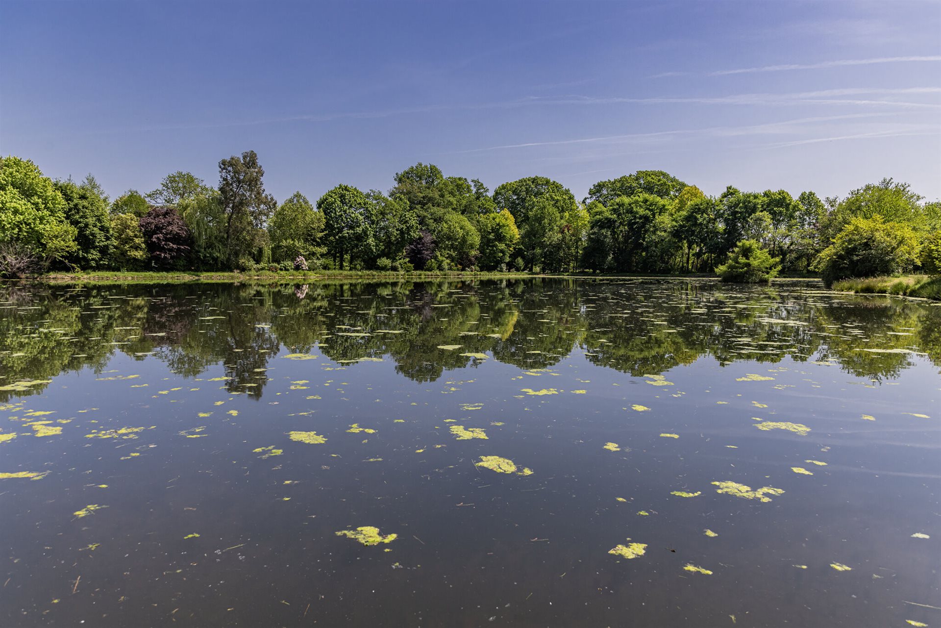 Maison à vendre, 450m², Pau