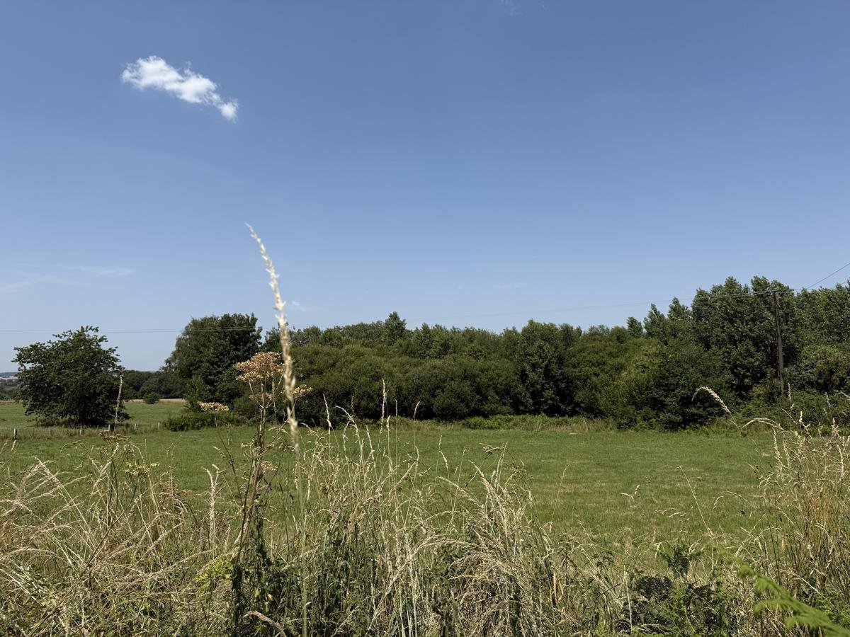 Maison à vendre, 320m², Plémet