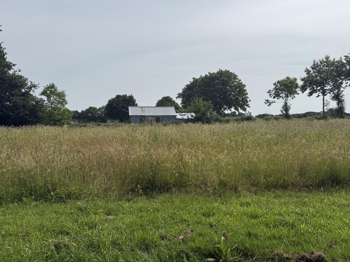Maison à vendre, 98m², Plumieux