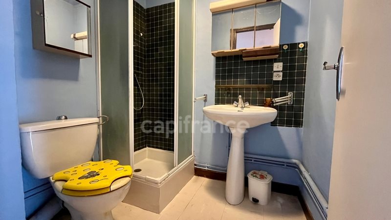 Appartement à vendre, 49m², Saint-Jean-de-Sixt