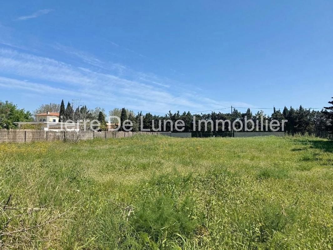 Purchase: Land (66000) - Vue 2