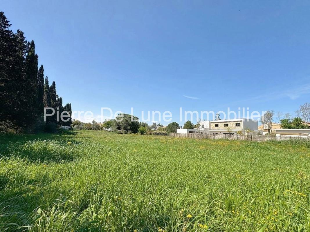 Purchase: Land (66000) - Vue 3
