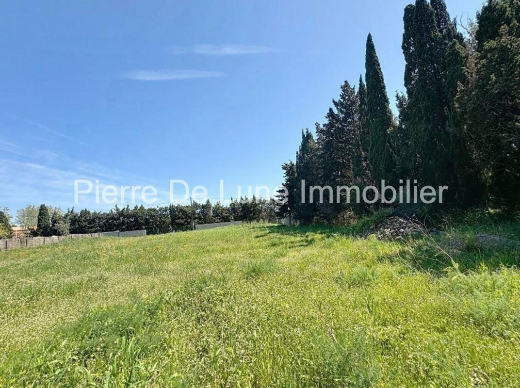 Purchase: Land (66000) - Vue 4