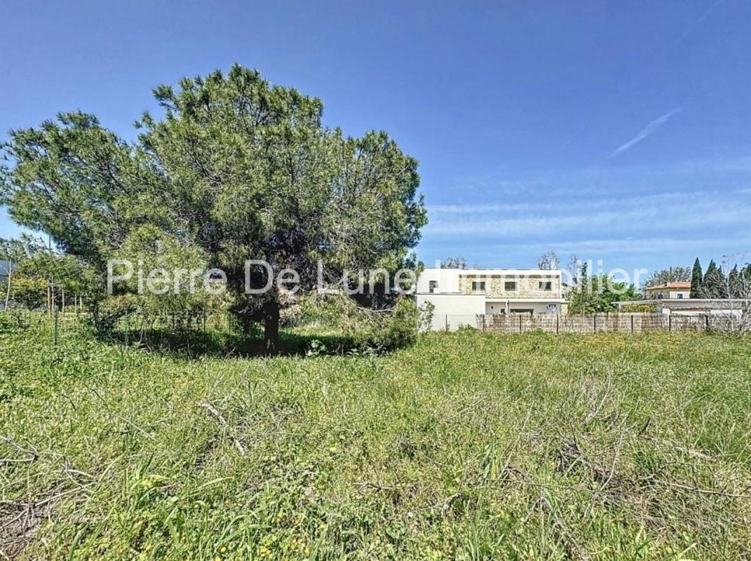 Purchase: Land (66000) - Vue 5