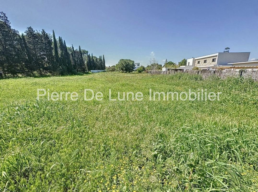 Purchase: Land (66000) - Plus