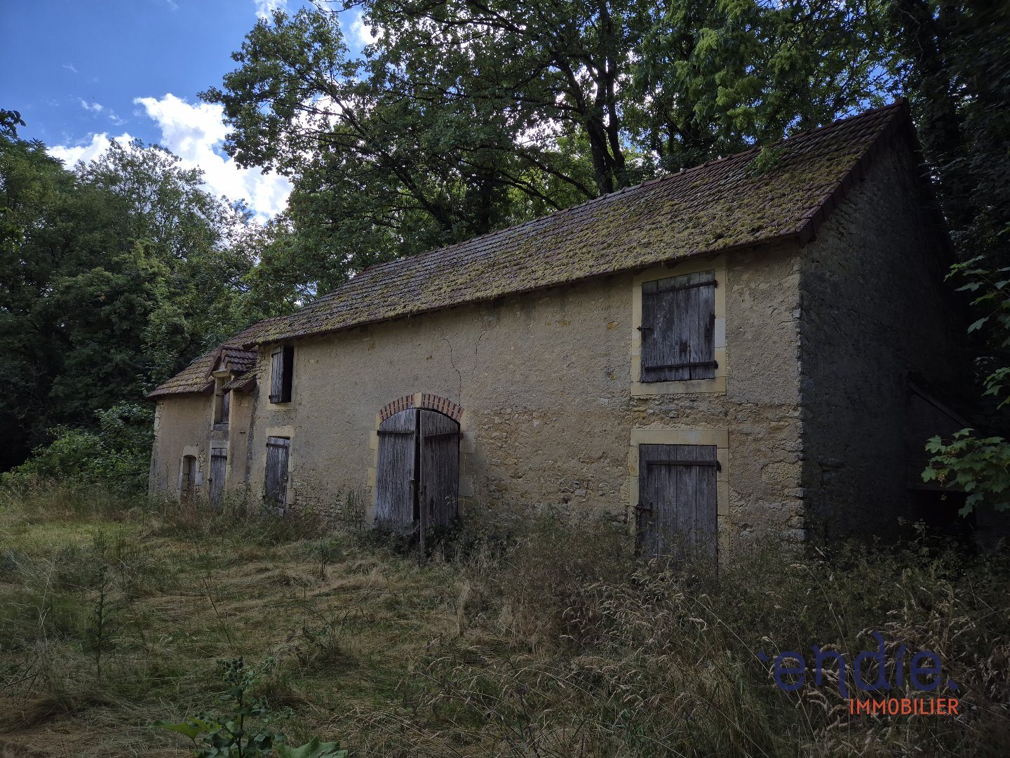Maison à vendre, 320m², Germigny-l'Exempt