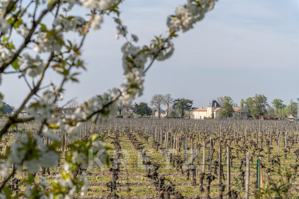 Maison à vendre, 240m², Saint-Émilion