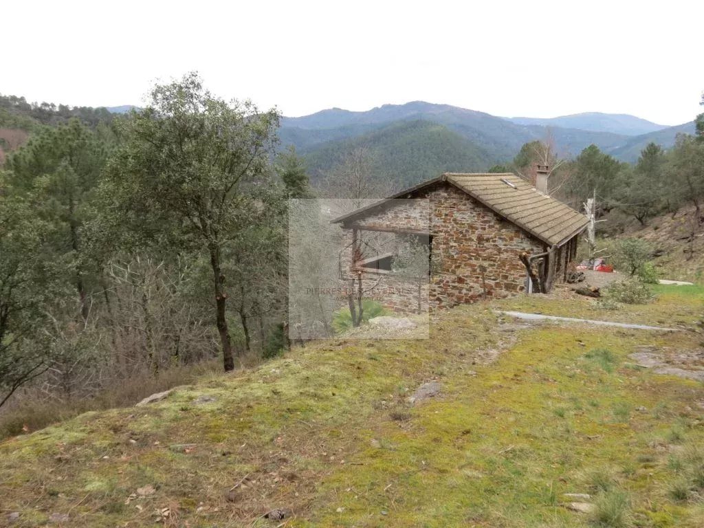 Maison à vendre, 98m², Sainte-Croix-Vallée-Française