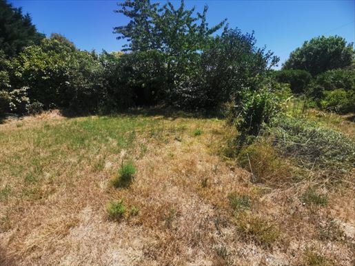 Terrain 50 m² · à Saint-Pardon-de-Conques · 50 m² · 169 900 €