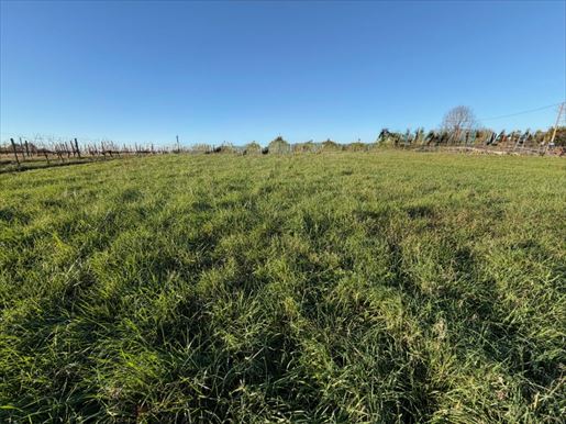 Terrain 80 m² · à Vayres · 80 m² · 239 000 €