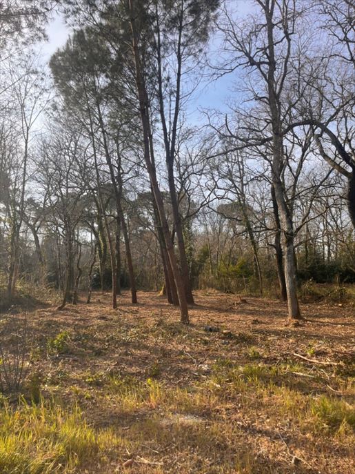 Terrain 50 m² · à Landiras · 50 m² · 180 000 €