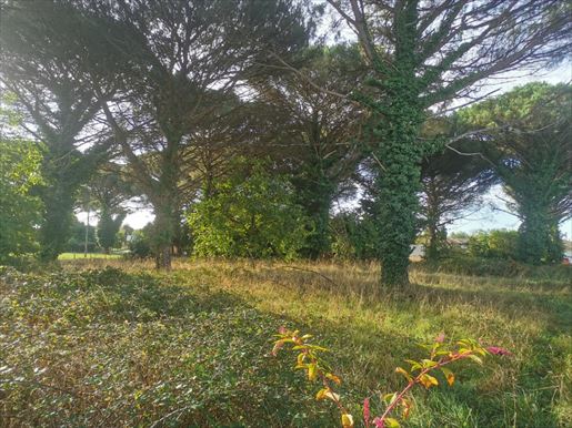 Terrain 64 m² · à Saint-Maixant · 64 m² · 185 450 €