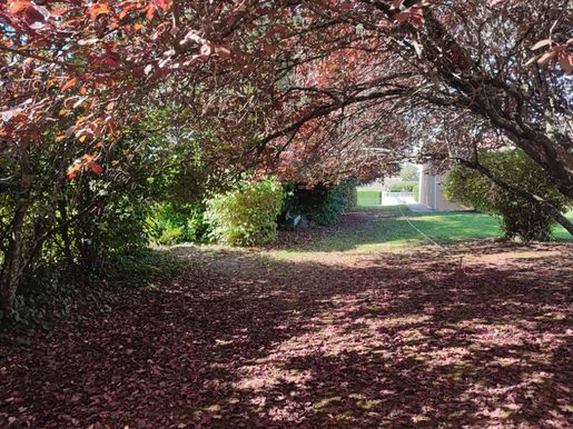 Terrain 80 m² · à Langoiran · 80 m² · 223 266 €