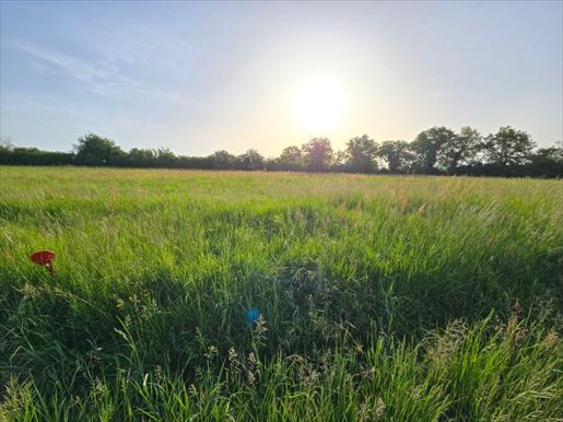 Terrain 90 m² · à Lalandusse · 90 m² · 178 420 €