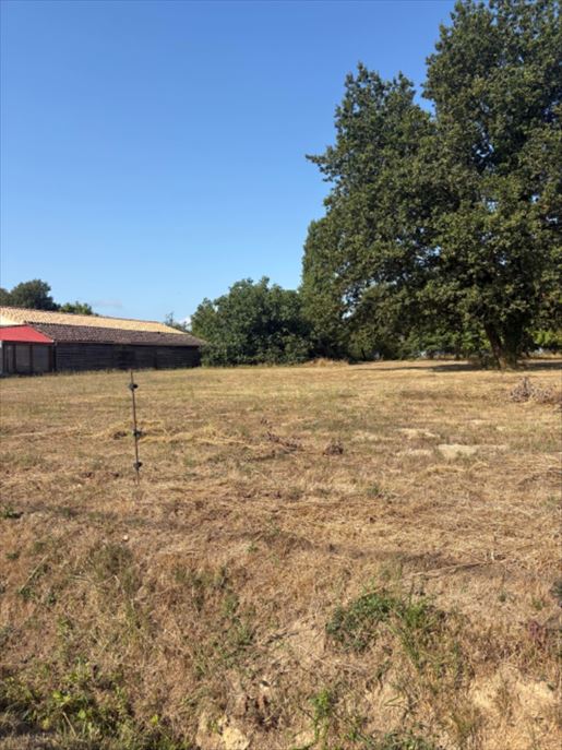 Terrain 80 m² · à Saint-Seurin-sur-l'Isle · 80 m² · 186 000 €