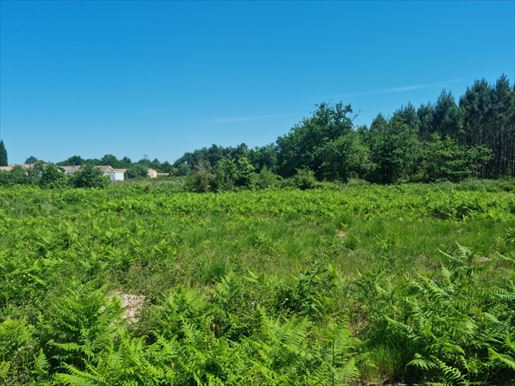 Terrain 103 m² · à Carcans · 103 m² · 410 000 €