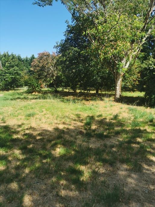 Terrain 78 m² · à Belin-Béliet · 78 m² · 222 886 €