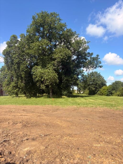 Terrain 65 m² · à La Lande-de-Fronsac · 65 m² · 192 000 €