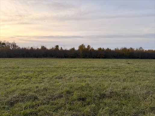 Terrain 94 m² · à Saint-Laurent-des-Vignes · 94 m² · 243 000 €