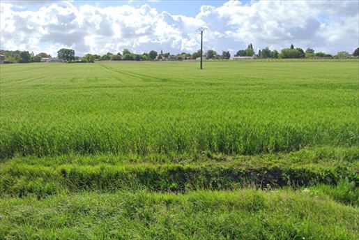 Terrain 70 m² · à Grézac · 70 m² · 189 000 €