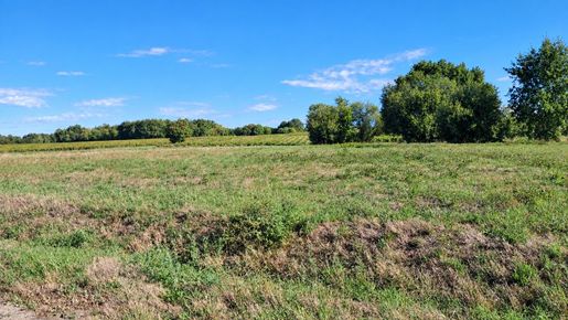Terrain 80 m² · à Montendre · 80 m² · 175 000 €