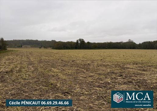 Maison 65 m² · à Mimbaste · 65 m² · 190 400 €