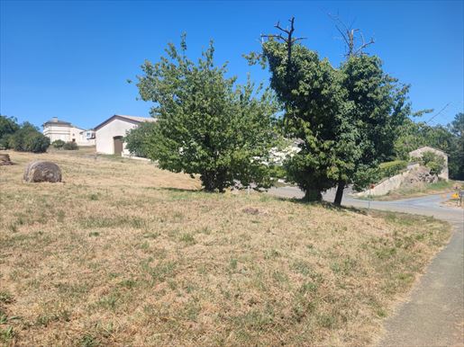 Terrain 85 m² · à Cadillac-sur-Garonne · 85 m² · 242 572 €