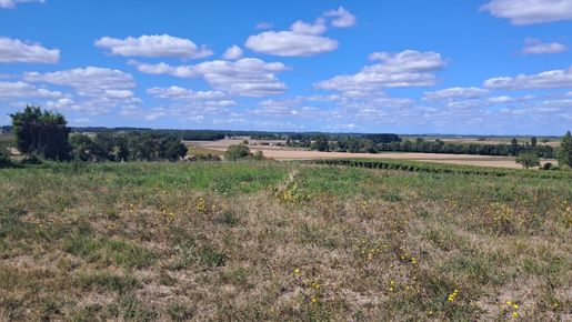 Terrain 80 m² · à Saint-Maigrin · 80 m² · 157 000 €