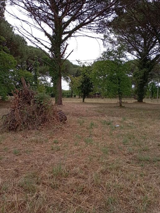 Terrain 85 m² · à Saint-Macaire · 85 m² · 192 600 €