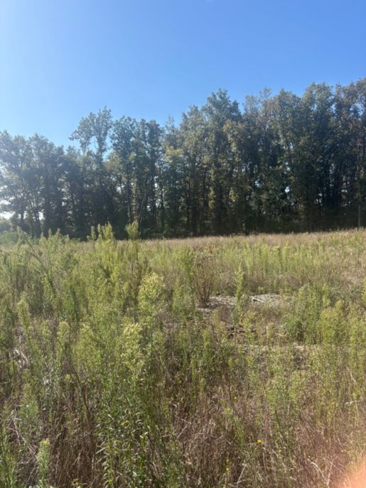 Terrain 132 m² · à Chamadelle · 132 m² · 260 000 €