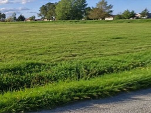 Terrain 65 m² · à La Lande-de-Fronsac · 65 m² · 192 000 €
