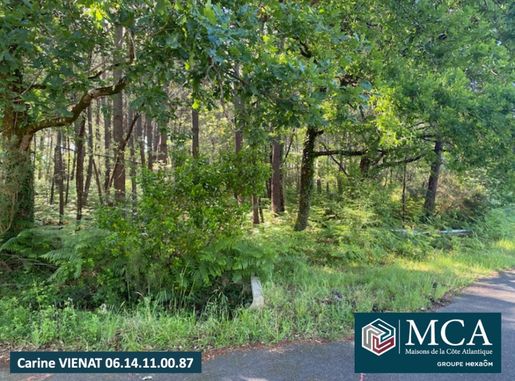 Maison 80 m² · à Sanguinet · 80 m² · 299 797 €