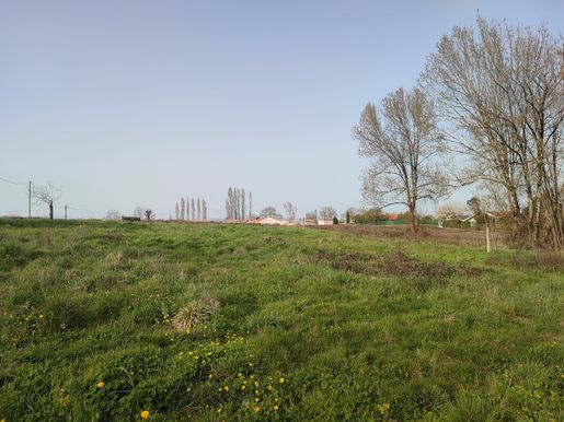 Terrain 80 m² · à Daignac · 80 m² · 230 766 €