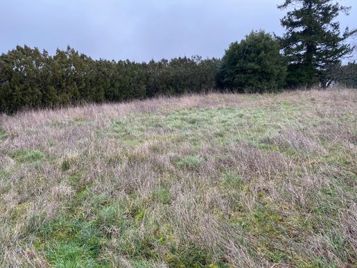 Terrain 79 m² · à Pont-l'Abbé-d'Arnoult · 79 m² · 198 456 €