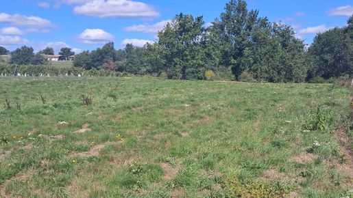 Terrain 60 m² · à Boisredon · 60 m² · 125 000 €