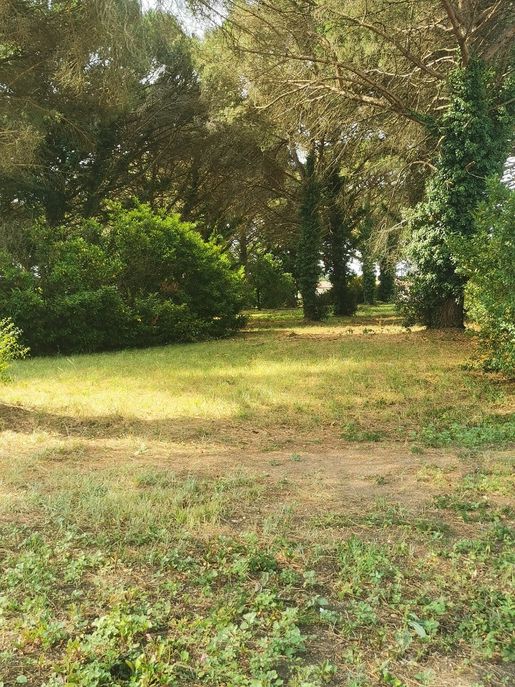 Terrain 49 m² · à Saint-Maixant · 49 m² · 188 500 €