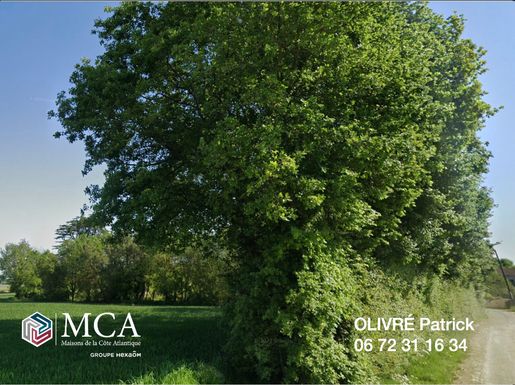 Terrain 80 m² · à Tesson · 80 m² · 205 000 €