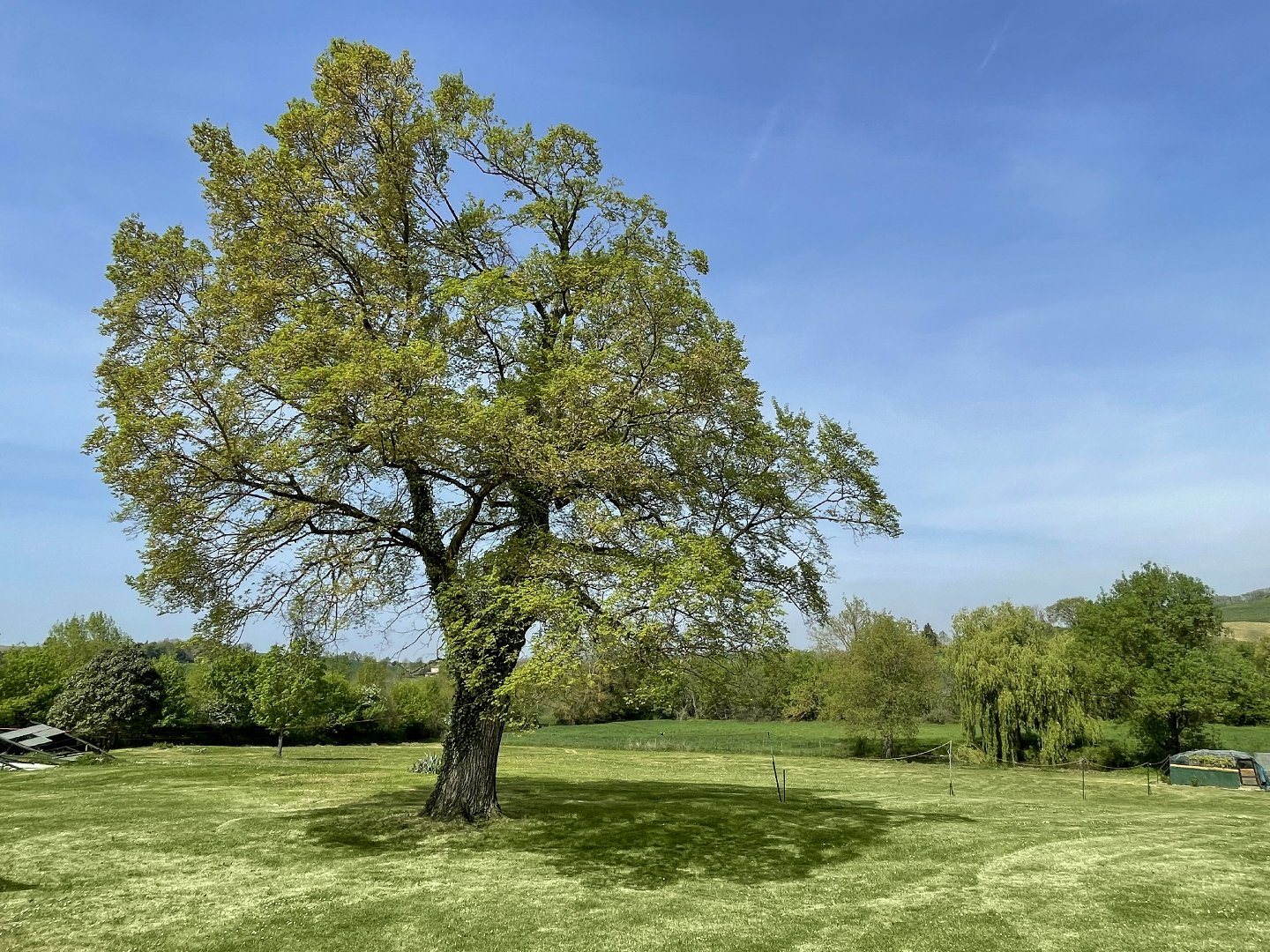 Maison à vendre, 356m², Castéra-Verduzan