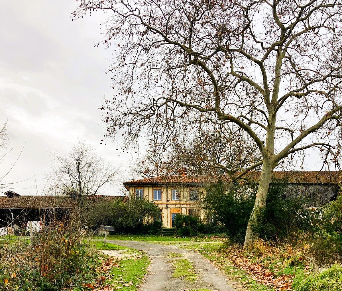 Maison à vendre, 191m², Lannepax
