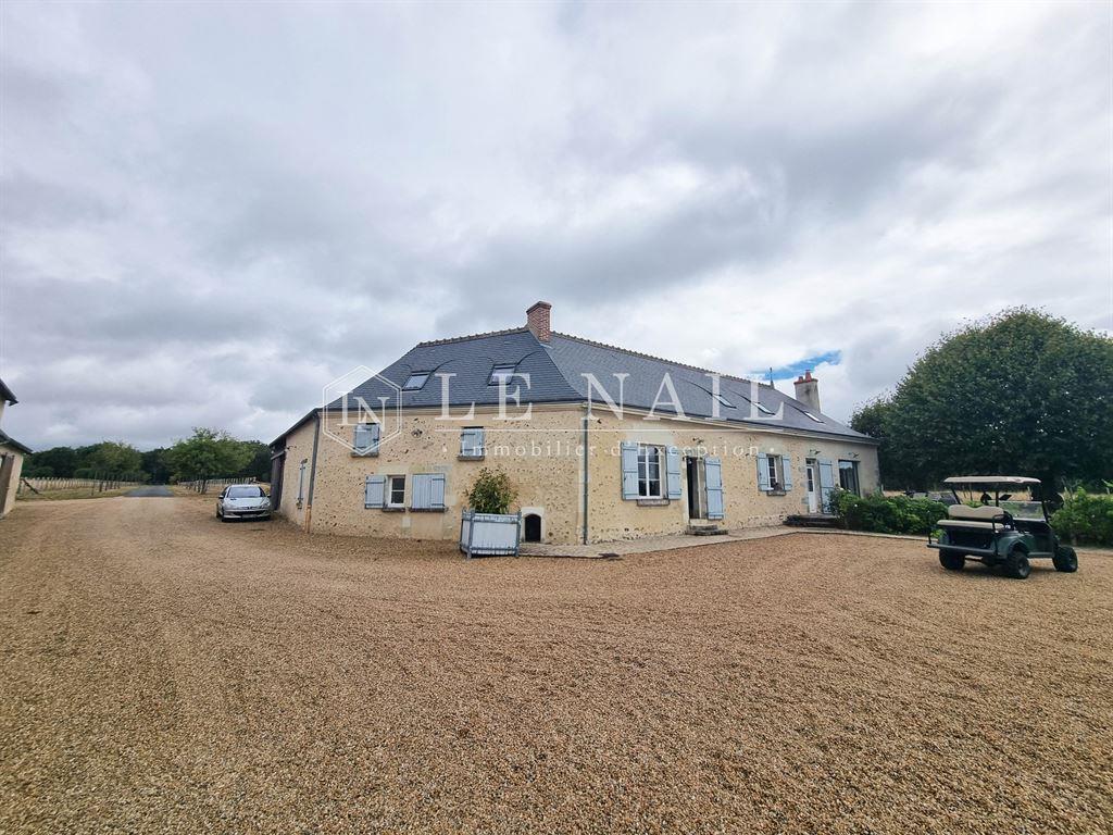 Maison à vendre, 458m², Tours