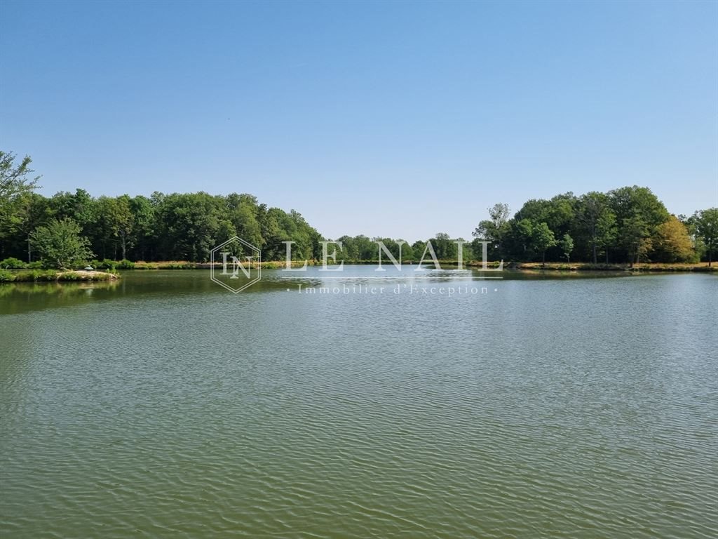 Maison à vendre, 345m², Lorris