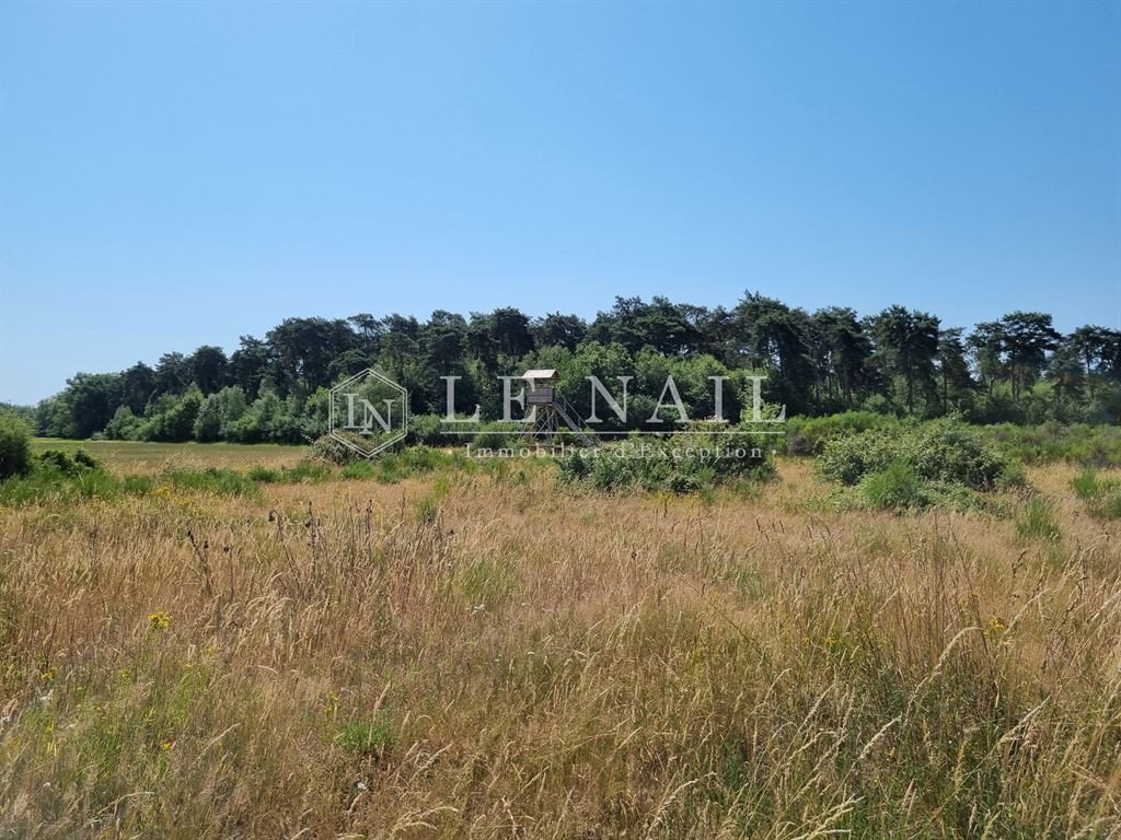 Maison à vendre, 345m², Lorris