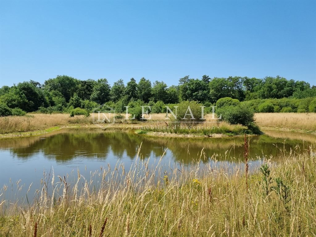 Maison à vendre, 345m², Lorris