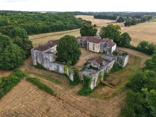 Maison 12 pièces 700 m² · à Saintes · 700 m² · 934 000 €