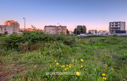 Advert pic 0