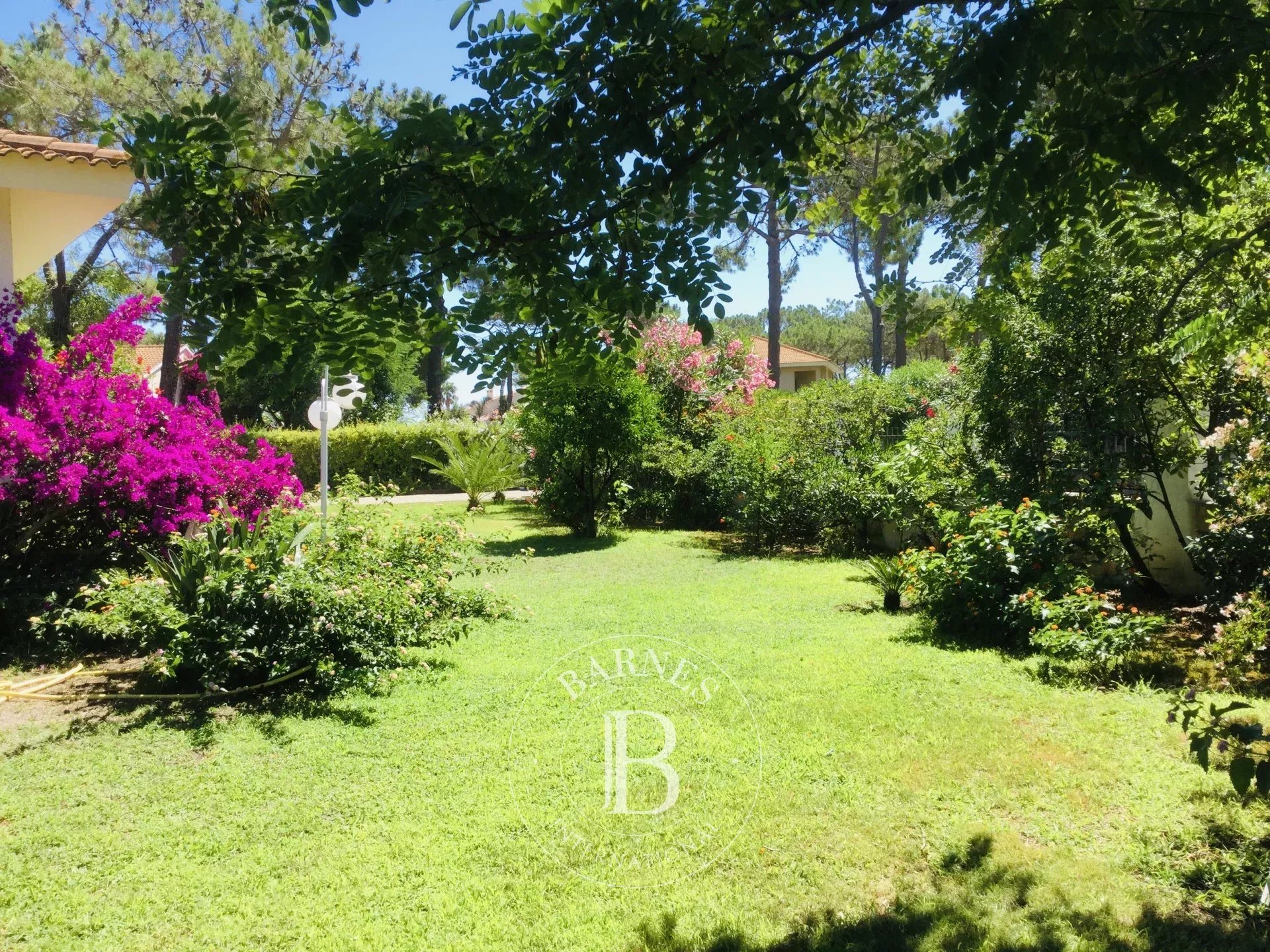 Maison à vendre, 270m², Bastia