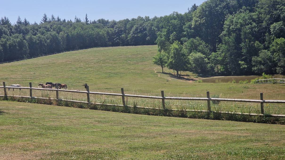 Maison à vendre, 620m², Pamiers