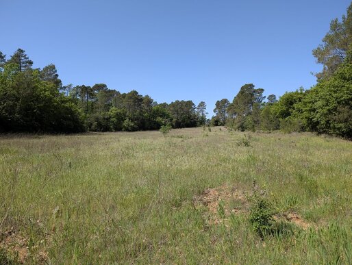 Terrain 13290 m² · au Luc · 42 900 €